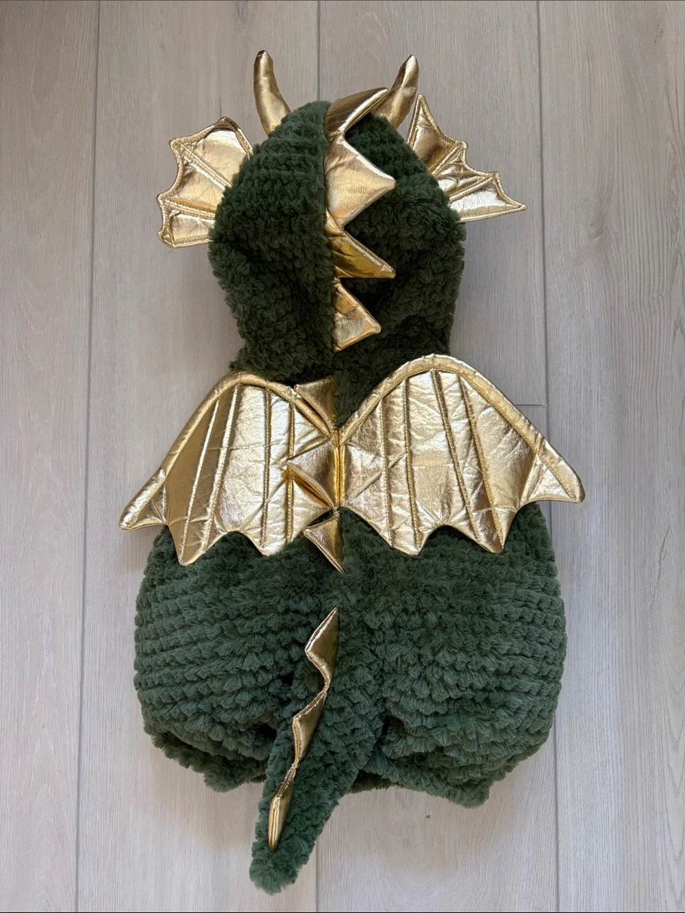 Dragon Costume - Picture 2 of 3